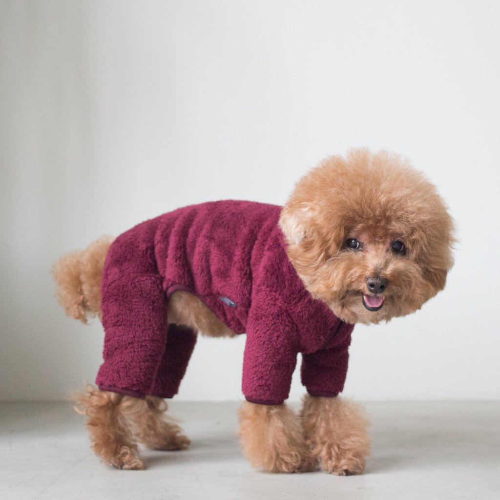 DENTISTS APPOINTMENT | Boa Fleece All-in-One in Burgundy Apparel DENTISTS APPOINTMENT   