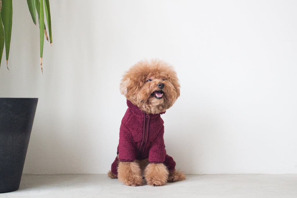 DENTISTS APPOINTMENT | Boa Fleece All-in-One in Burgundy Apparel DENTISTS APPOINTMENT   