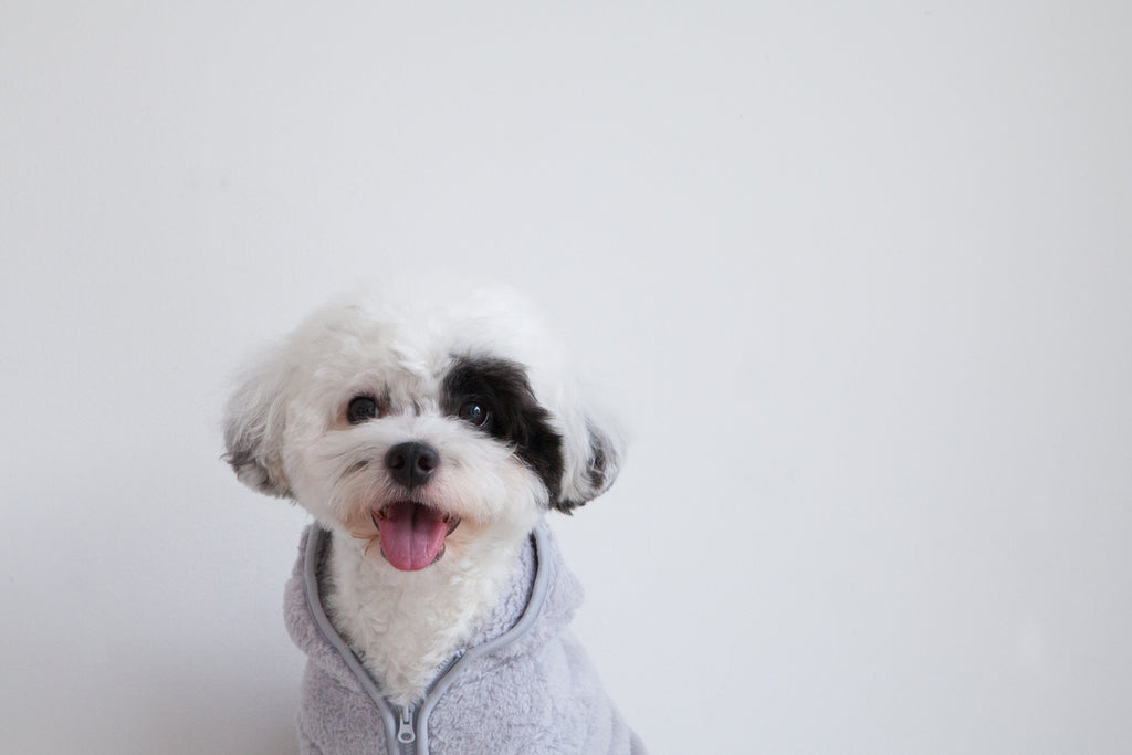 DENTISTS APPOINTMENT | Boa Fleece All-in-One in Light Grey Apparel DENTISTS APPOINTMENT   