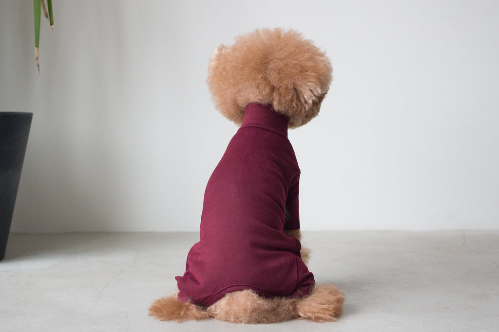 DENTISTS APPOINTMENT | Body Warm All-in-One in Burgundy Apparel DENTISTS APPOINTMENT   