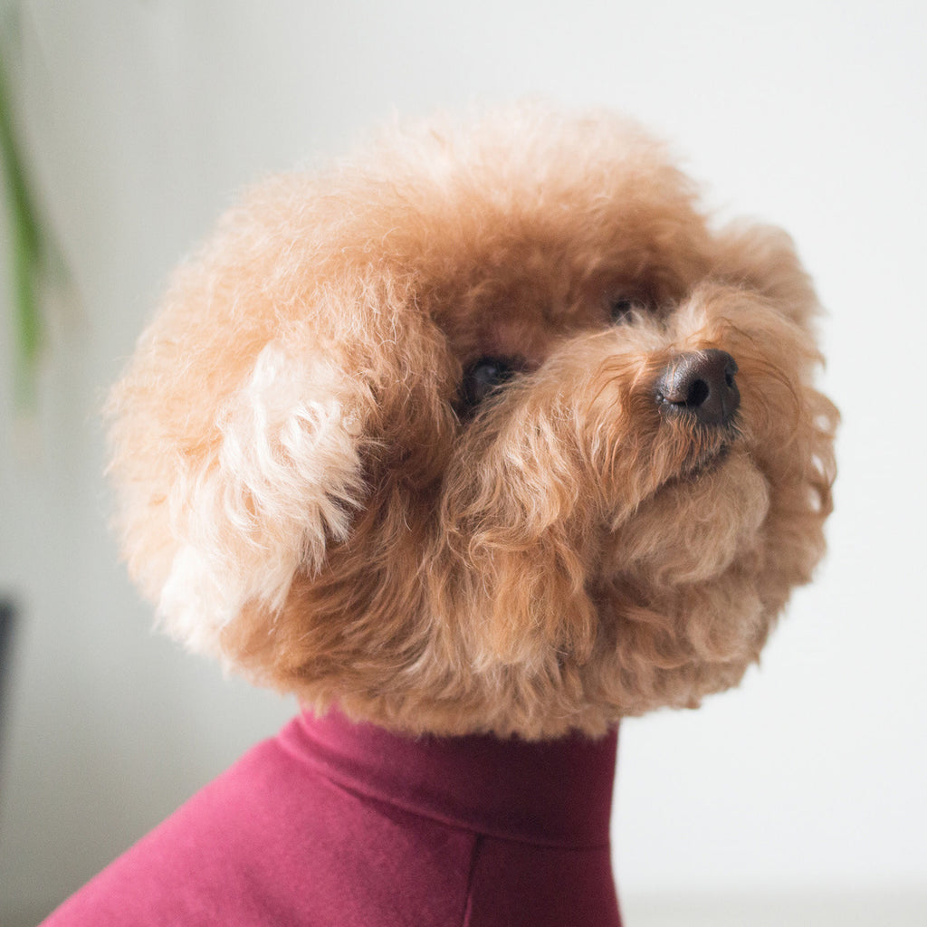 DENTISTS APPOINTMENT | Body Warm All-in-One in Burgundy Apparel DENTISTS APPOINTMENT   