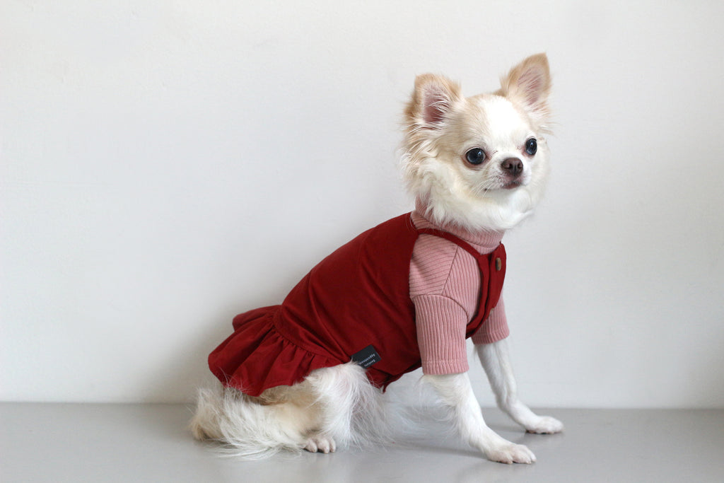 DENTISTS APPOINTMENT | Camisole Dress in Red Apparel DENTISTS APPOINTMENT   