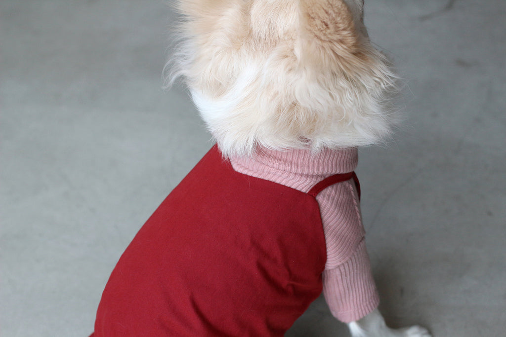 DENTISTS APPOINTMENT | Camisole Dress in Red Apparel DENTISTS APPOINTMENT   