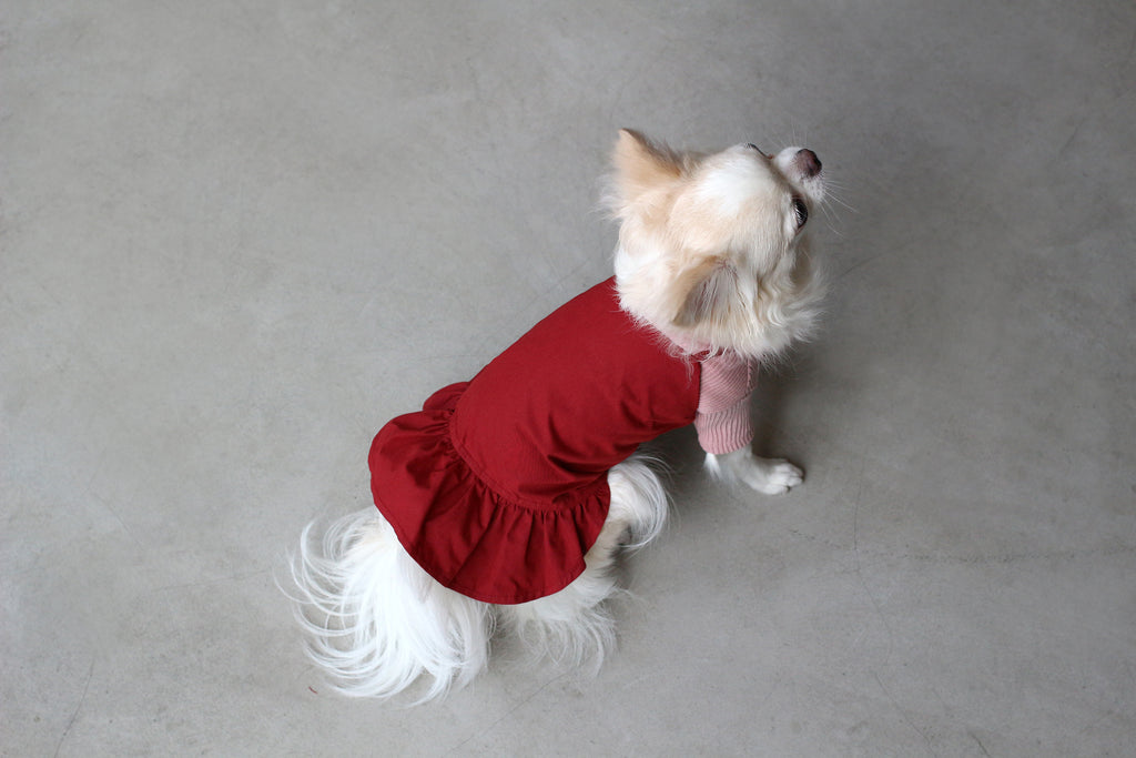 DENTISTS APPOINTMENT | Camisole Dress in Red Apparel DENTISTS APPOINTMENT   