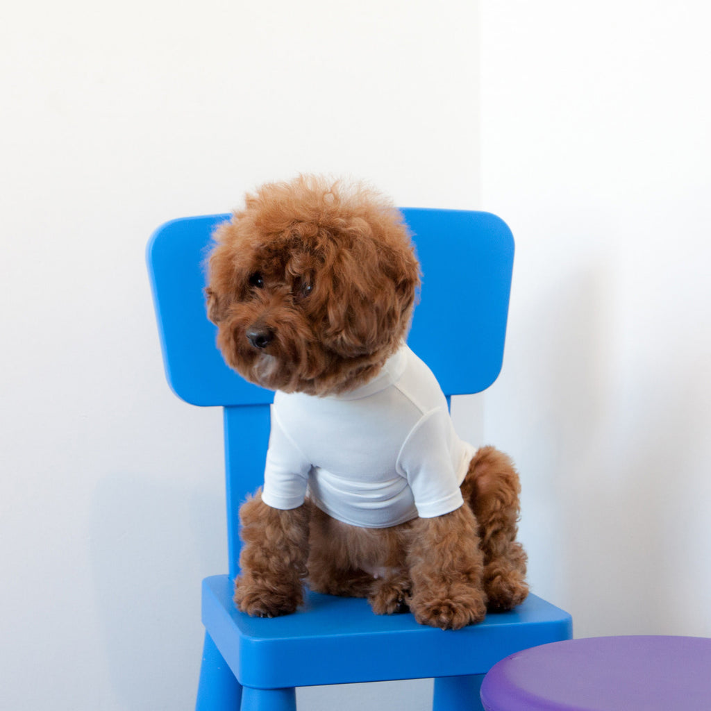 Body Warm Turtleneck in White (FINAL SALE) Apparel DENTISTS APPOINTMENT   