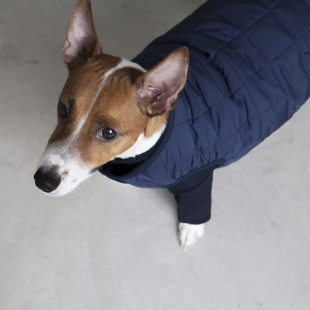 DENTISTS APPOINTMENT | Warm Quilted Vest in Navy (w/ Harness Hole) Apparel DENTISTS APPOINTMENT   