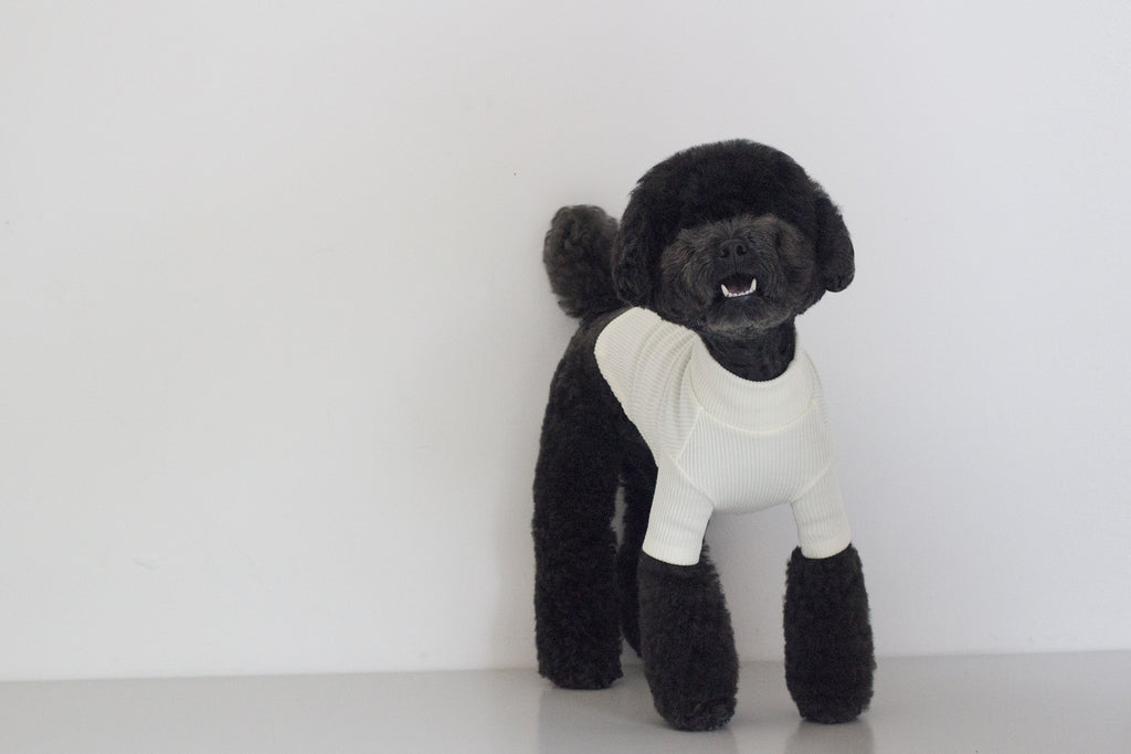 DENTISTS APPOINTMENT | Skinny Rib Rollneck in Ivory Apparel DENTISTS APPOINTMENT   