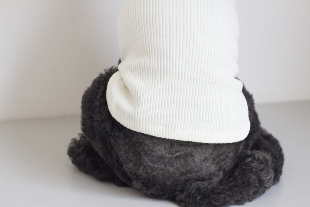 DENTISTS APPOINTMENT | Skinny Rib Rollneck in Ivory Apparel DENTISTS APPOINTMENT   