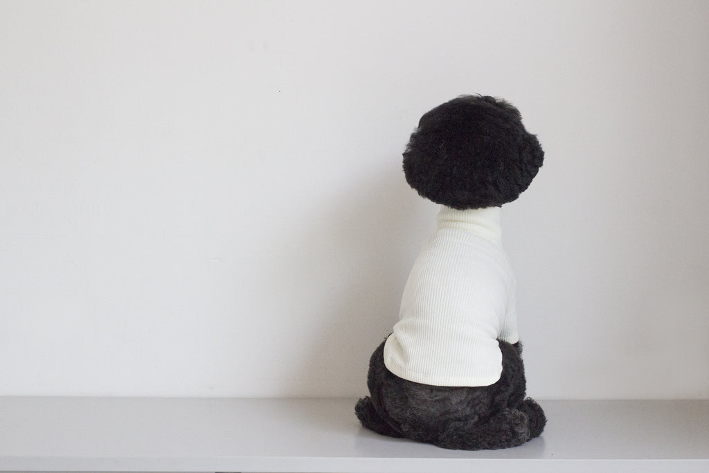 DENTISTS APPOINTMENT | Skinny Rib Rollneck in Ivory Apparel DENTISTS APPOINTMENT   