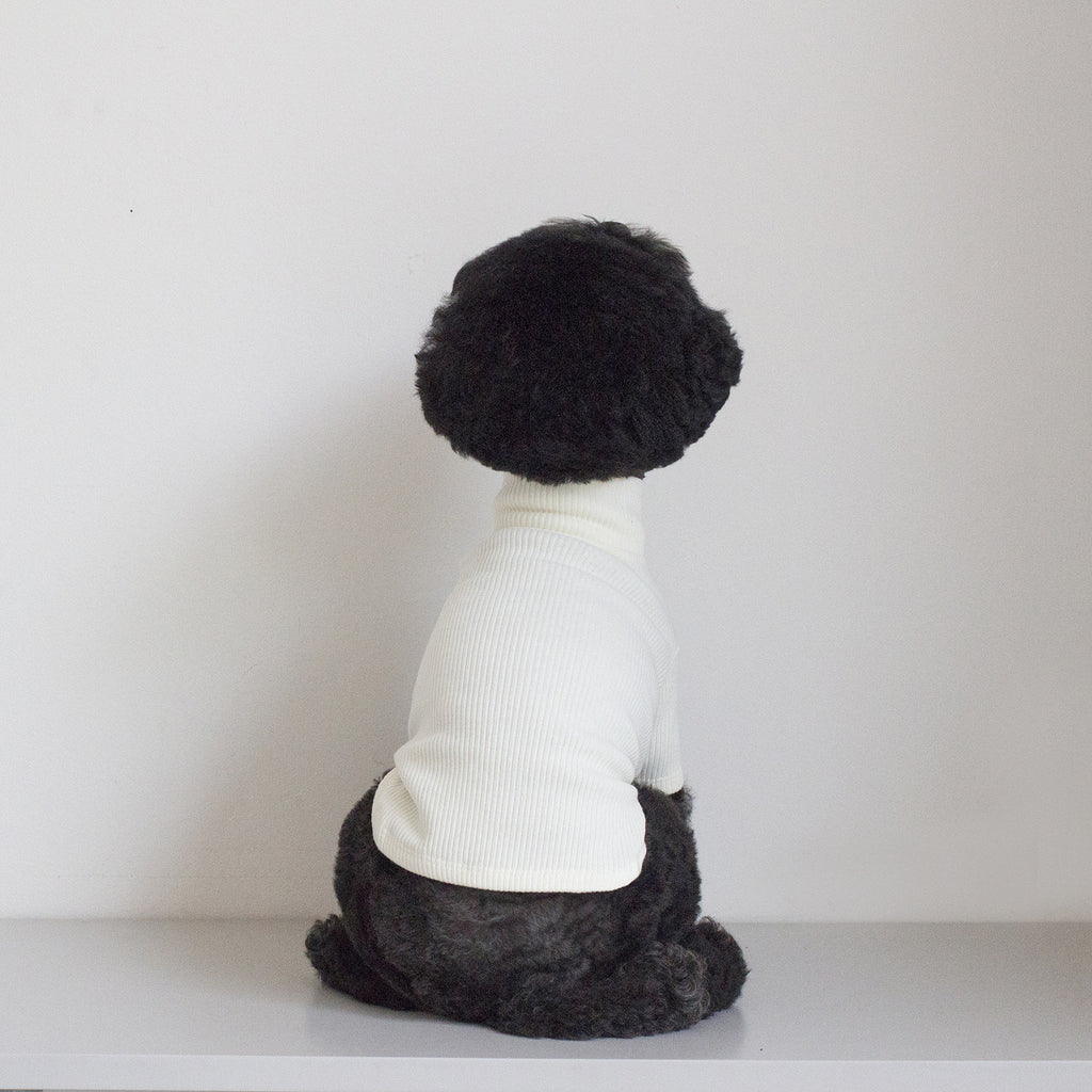 DENTISTS APPOINTMENT | Skinny Rib Rollneck in Ivory Apparel DENTISTS APPOINTMENT   