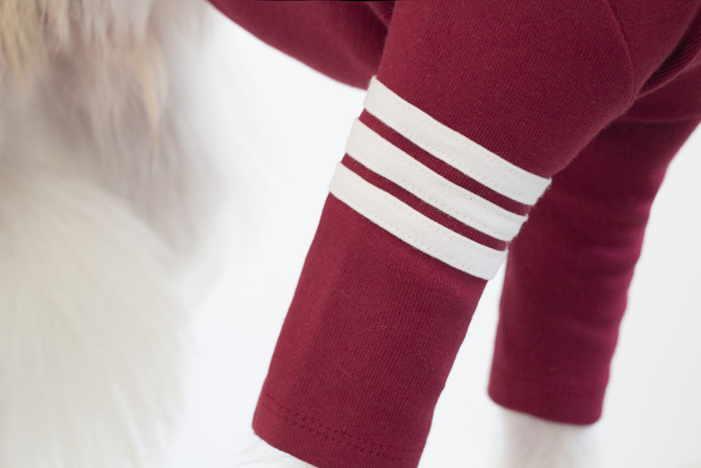 DENTISTS APPOINTMENT | Striped Point Turtleneck in Burgundy Apparel DENTISTS APPOINTMENT   