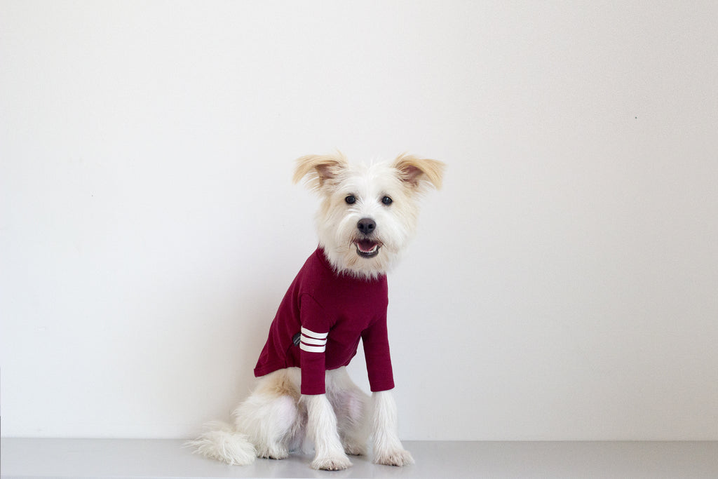 DENTISTS APPOINTMENT | Striped Point Turtleneck in Burgundy Apparel DENTISTS APPOINTMENT   