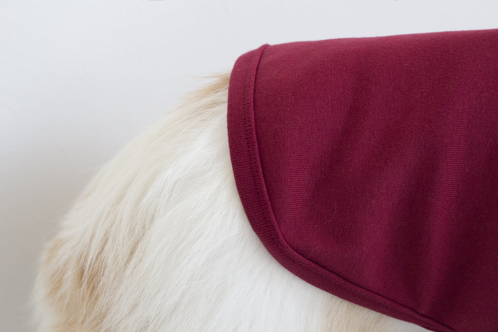 DENTISTS APPOINTMENT | Striped Point Turtleneck in Burgundy Apparel DENTISTS APPOINTMENT   