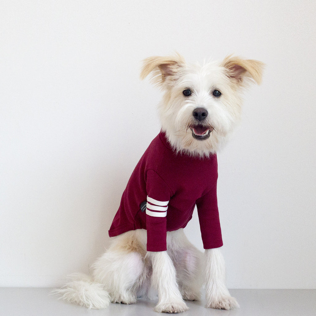 DENTISTS APPOINTMENT | Striped Point Turtleneck in Burgundy Apparel DENTISTS APPOINTMENT   