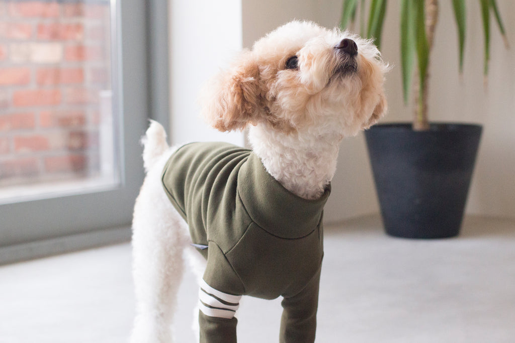 DENTISTS APPOINTMENT | Striped Point Turtleneck in Khaki Apparel DENTISTS APPOINTMENT   
