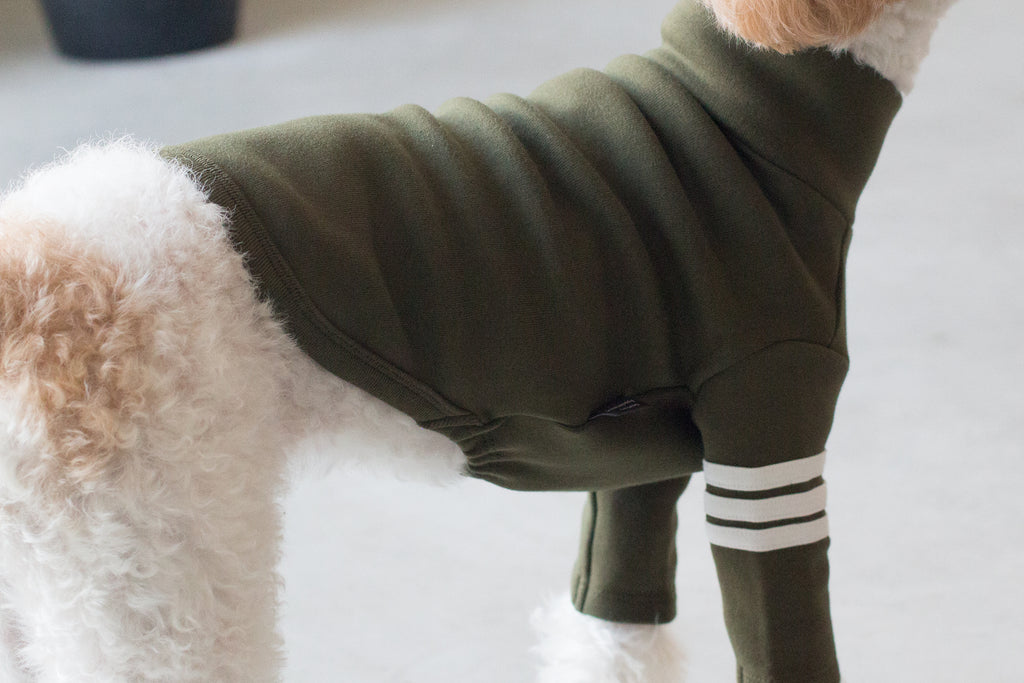 DENTISTS APPOINTMENT | Striped Point Turtleneck in Khaki Apparel DENTISTS APPOINTMENT   