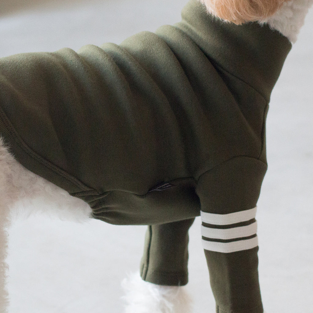 DENTISTS APPOINTMENT | Striped Point Turtleneck in Khaki Apparel DENTISTS APPOINTMENT   