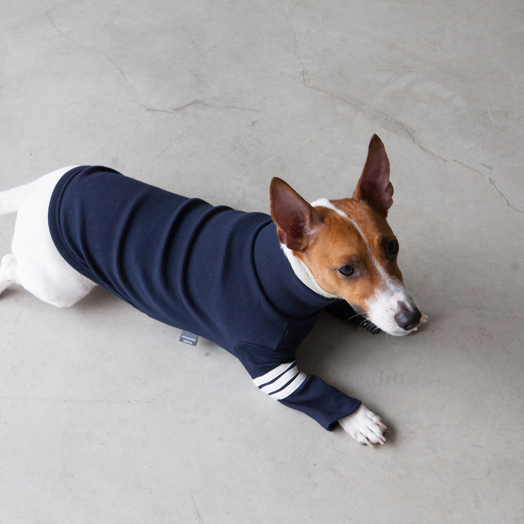 DENTISTS APPOINTMENT | Striped Point Turtleneck in Navy Apparel DENTISTS APPOINTMENT   