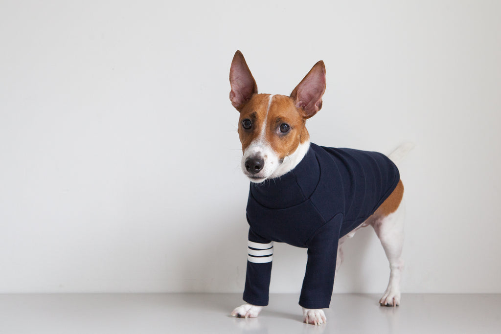 DENTISTS APPOINTMENT | Striped Point Turtleneck in Navy Apparel DENTISTS APPOINTMENT   