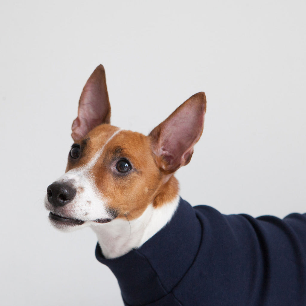 DENTISTS APPOINTMENT | Striped Point Turtleneck in Navy Apparel DENTISTS APPOINTMENT   