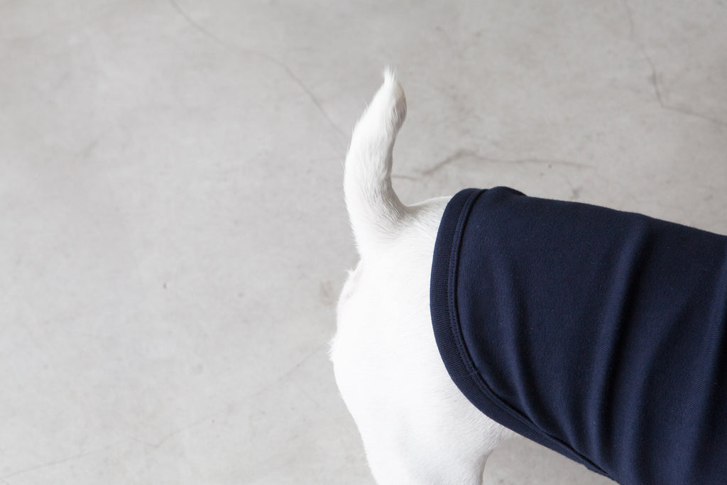 DENTISTS APPOINTMENT | Striped Point Turtleneck in Navy Apparel DENTISTS APPOINTMENT   