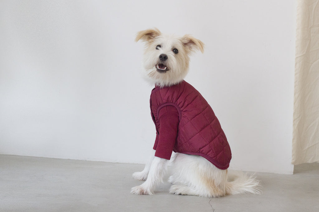 DENTISTS APPOINTMENT | Warm Quilted Vest in Burgundy (w/ Harness Hole) Apparel DENTISTS APPOINTMENT   