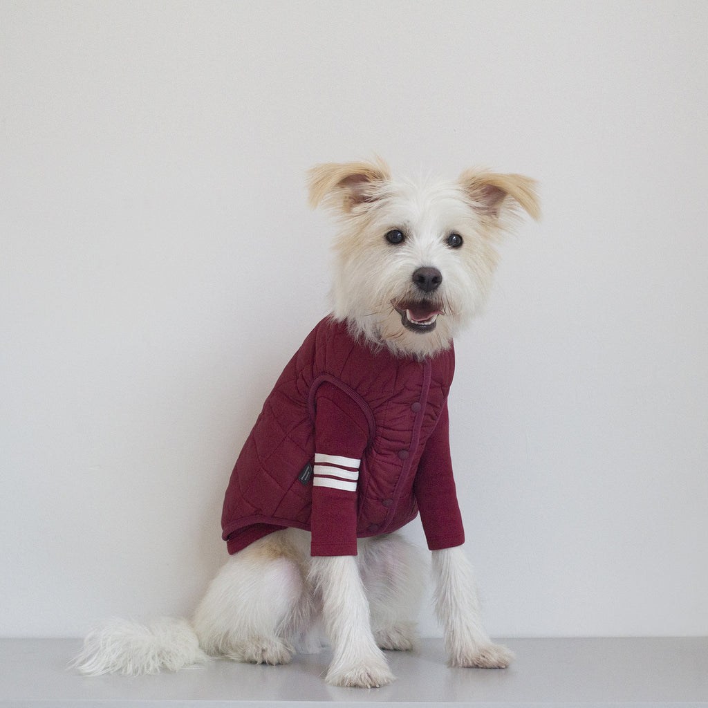 DENTISTS APPOINTMENT | Warm Quilted Vest in Burgundy (w/ Harness Hole) Apparel DENTISTS APPOINTMENT   