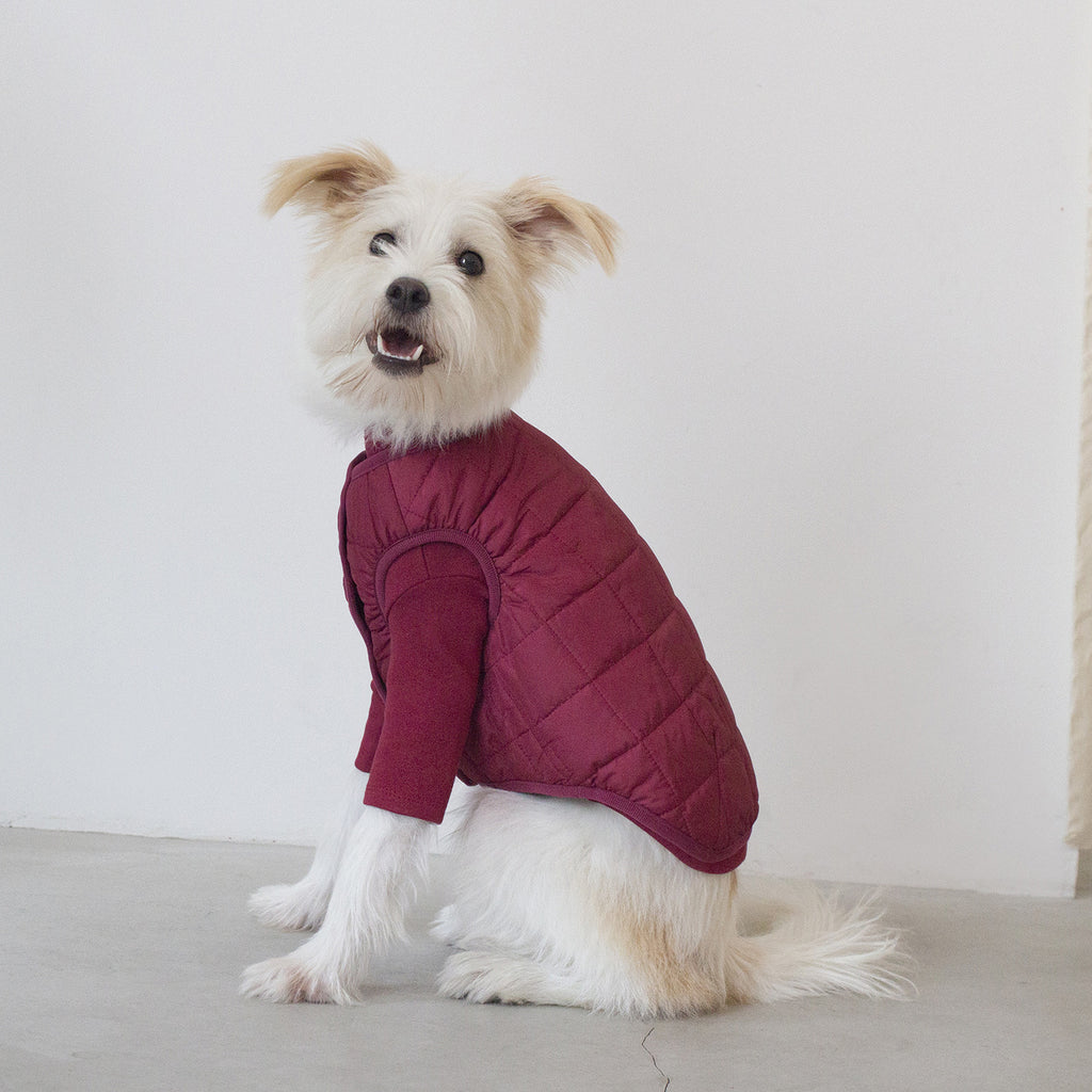 DENTISTS APPOINTMENT | Warm Quilted Vest in Burgundy (w/ Harness Hole) Apparel DENTISTS APPOINTMENT   