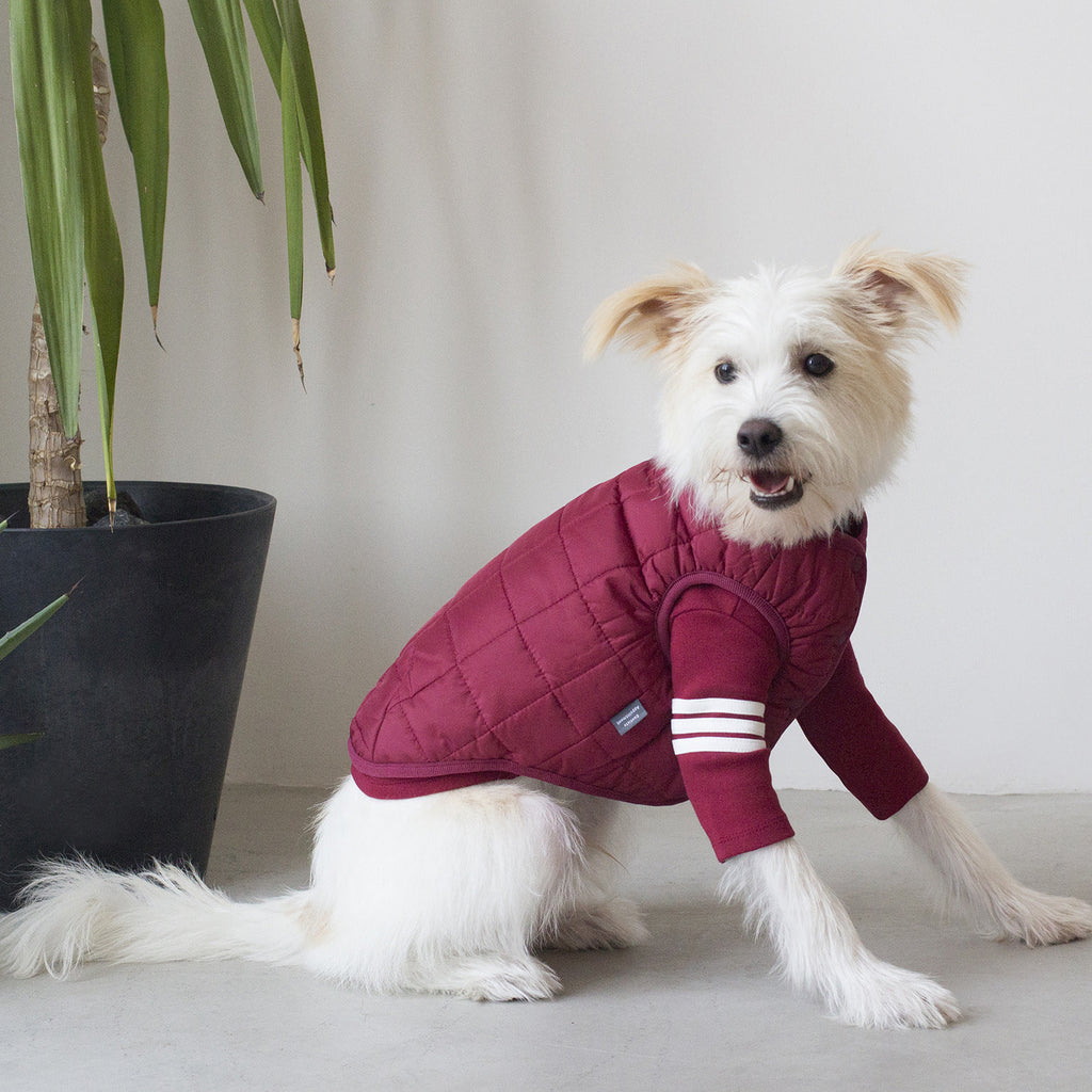 DENTISTS APPOINTMENT | Warm Quilted Vest in Burgundy (w/ Harness Hole) Apparel DENTISTS APPOINTMENT   