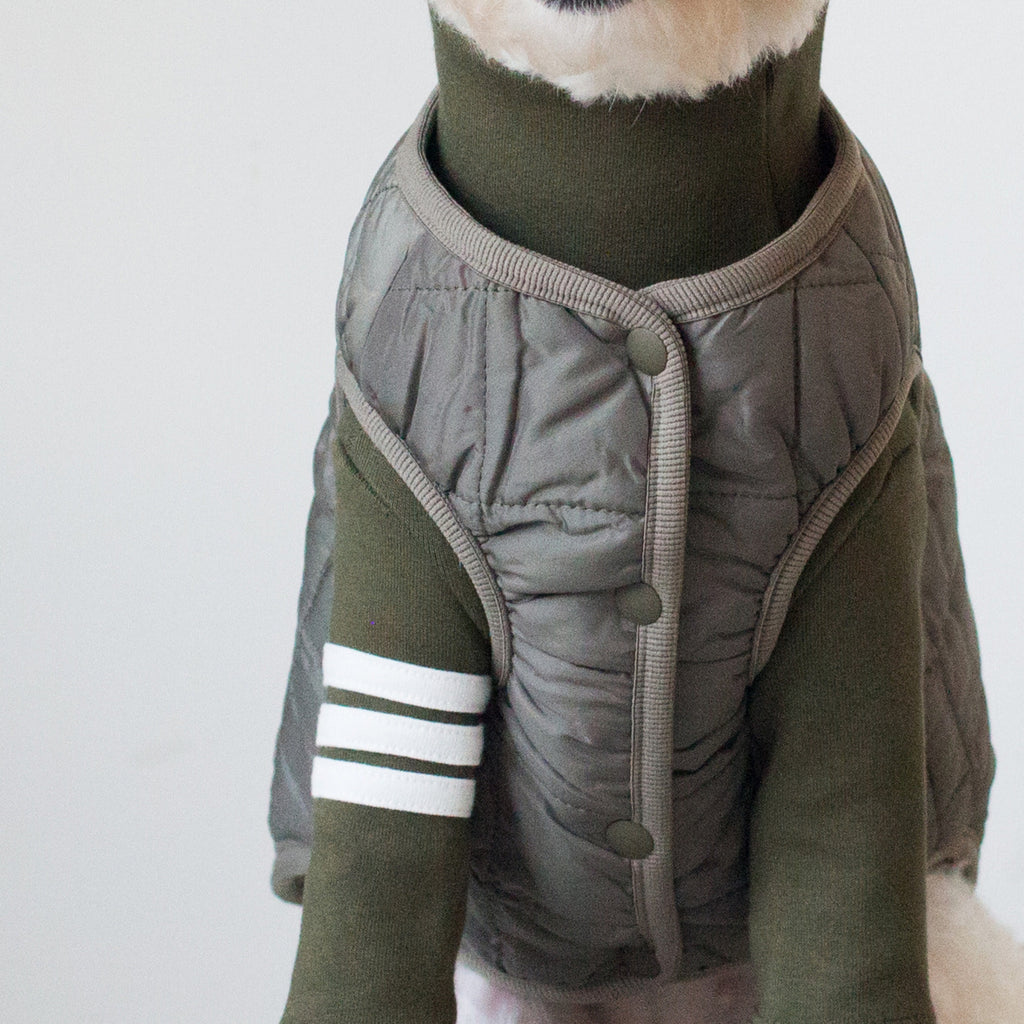 DENTISTS APPOINTMENT | Warm Quilted Vest in Khaki (w/ Harness Hole) Apparel DENTISTS APPOINTMENT   
