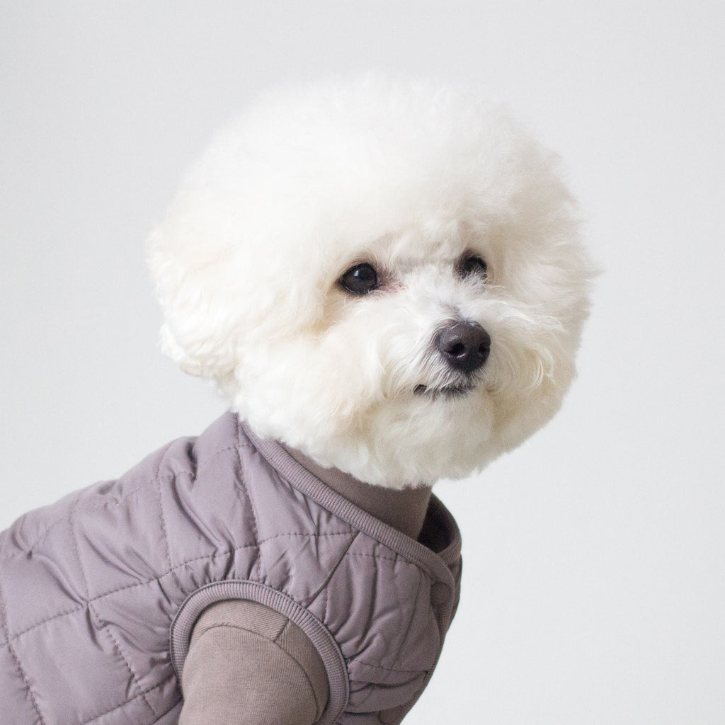 DENTISTS APPOINTMENT | Warm Quilted Vest in Mocha (w/ Harness Hole) Apparel DENTISTS APPOINTMENT   