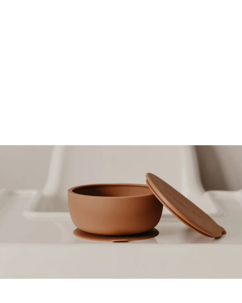 Silicone Suction Dog Food & Water Bowl with Lid in Terracotta << FINAL SALE >> Eat DEAREST GREY   