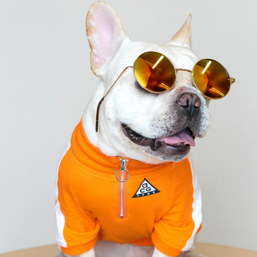 DOGGO STREET MARKET | All Canine Gear Pullover Apparel DOGGO STREET MARKET   