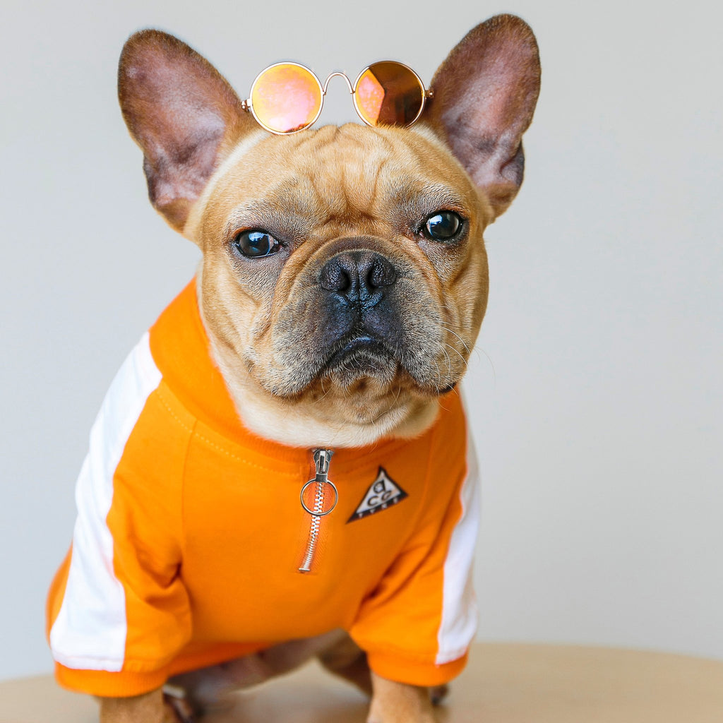 DOGGO STREET MARKET | All Canine Gear Pullover Apparel DOGGO STREET MARKET   