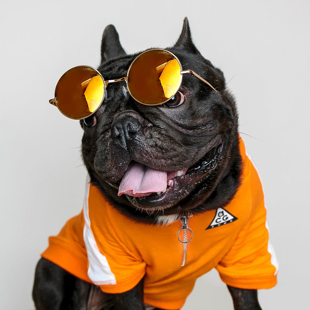 dog gear pullover DOGGO STREET MARKET