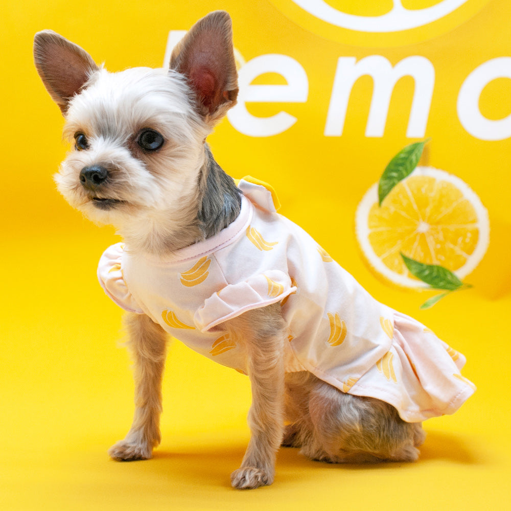 Bananas Lightweight Dog Dress (FINAL SALE) Wear DOGO   