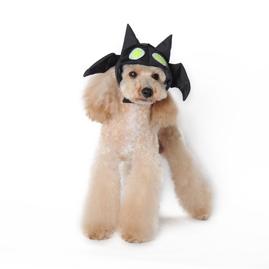 DOGO | Bat Hat Accessories DOGO   