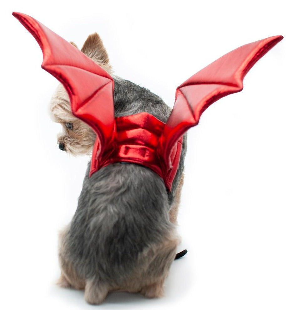 Adjustable Tie-On Dragon Howl-O-Ween Dog Wings in Red Wear DOGO   