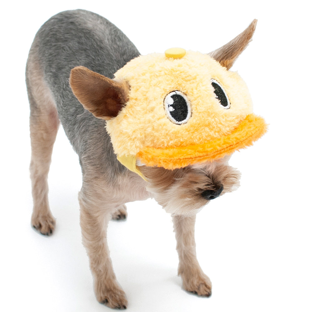 DOGO | Duck Hat Accessories DOGO   