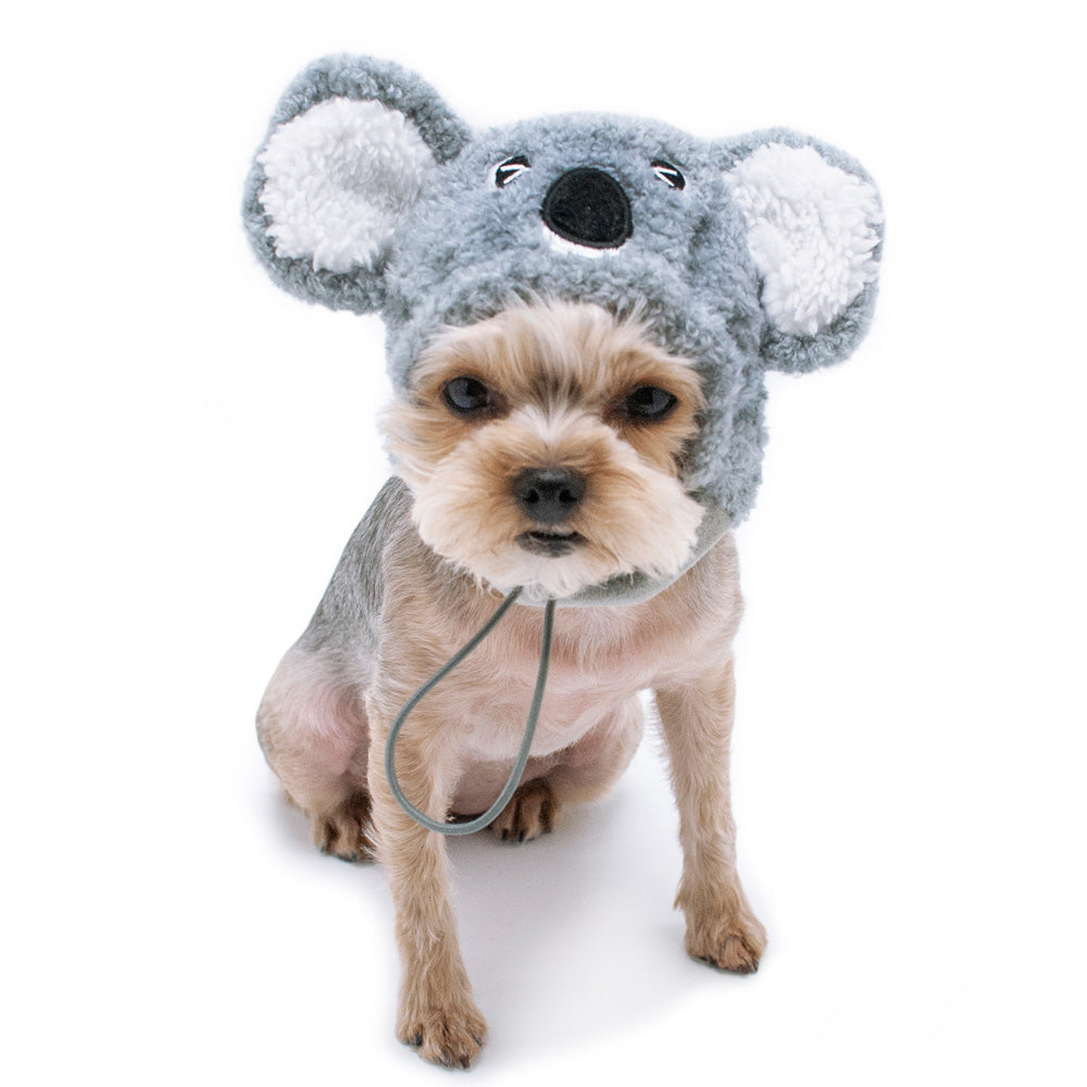 DOGO | Koala Hat Accessories DOGO   