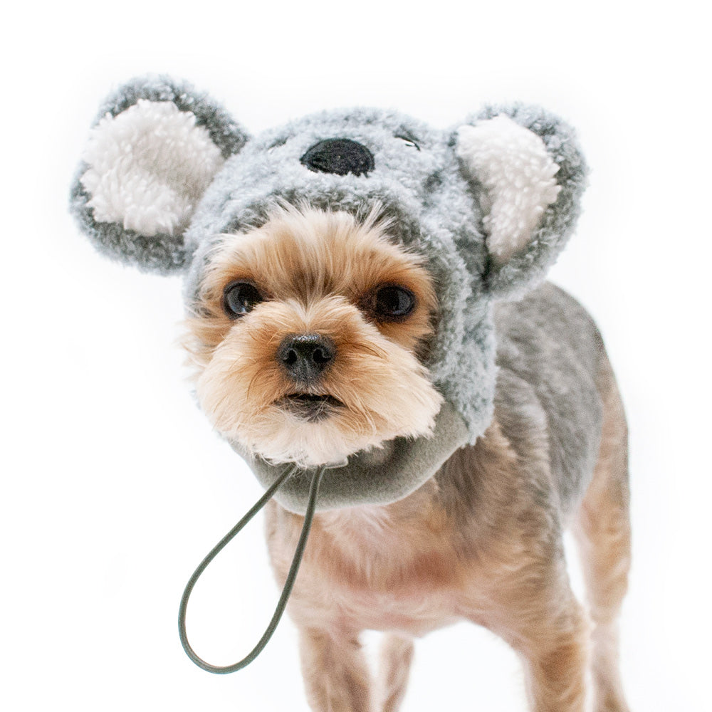 DOGO | Koala Hat Accessories DOGO   