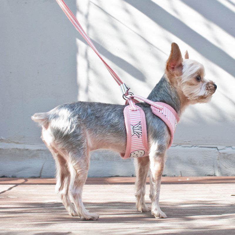 DOGO | Pineapple Harness in Pink Harness DOGO   