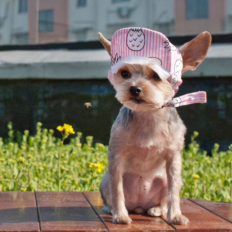 DOGO | Pineapple Hat in Pink Apparel DOGO   