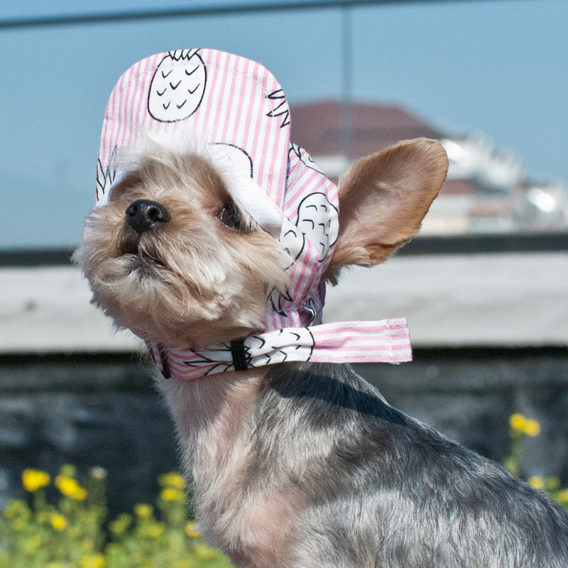 DOGO | Pineapple Hat in Pink Apparel DOGO   