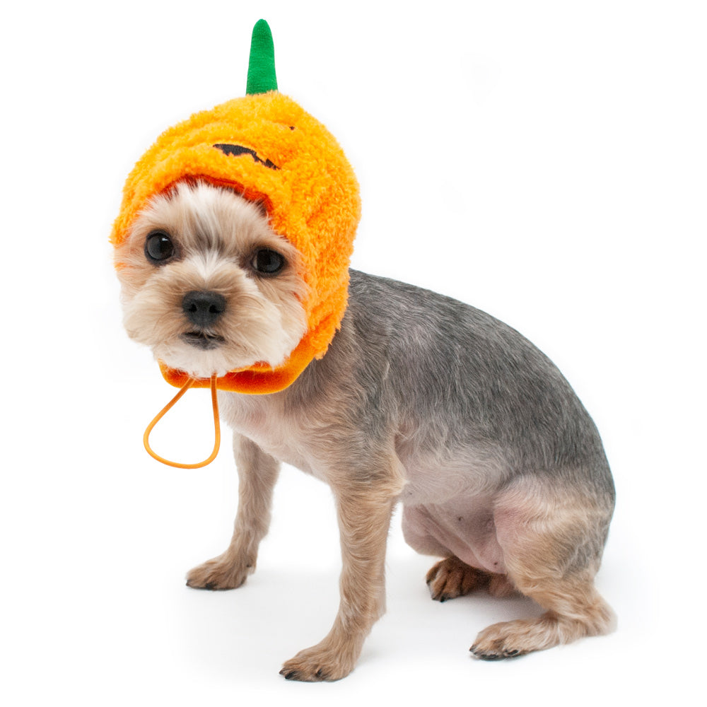 DOGO | Pumpkin Hat Accessories DOGO   