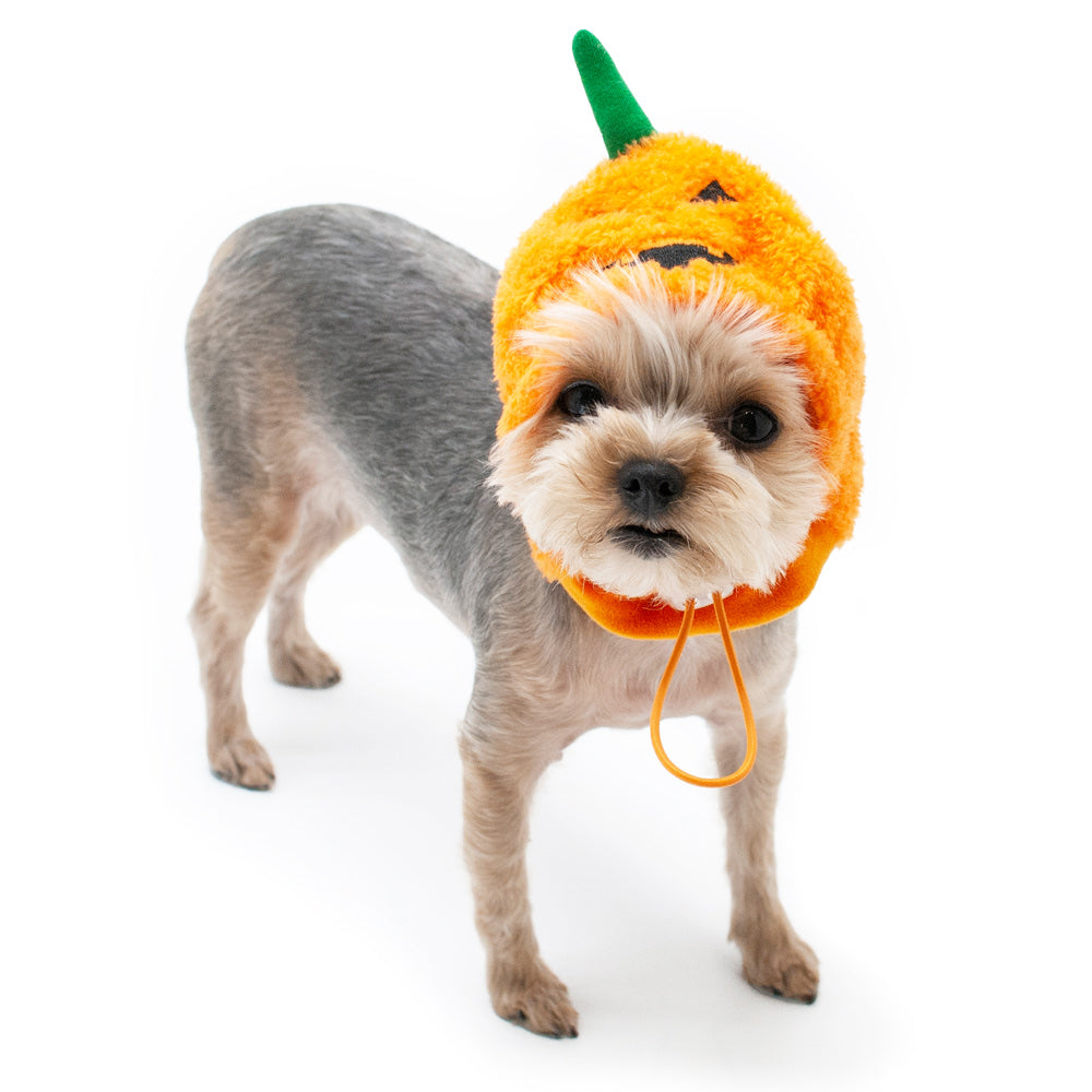 DOGO | Pumpkin Hat Accessories DOGO   