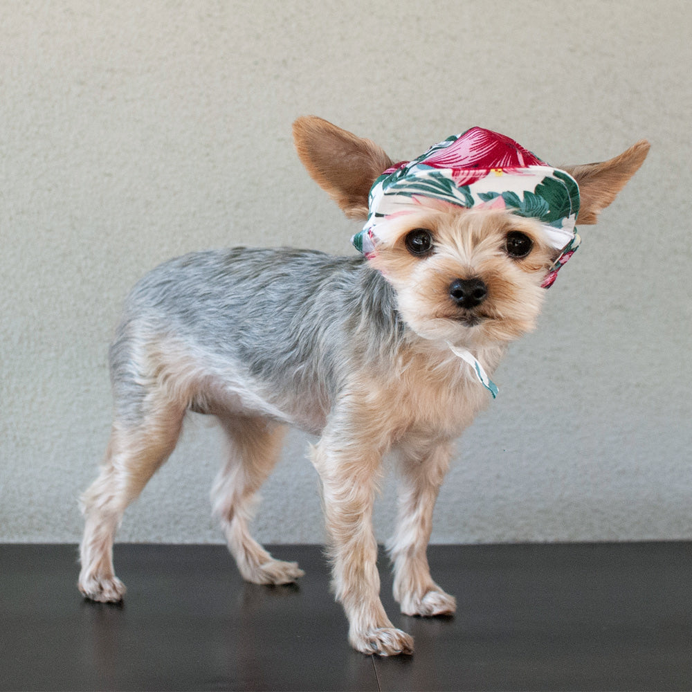 DOGO | Tropical Island Hat Apparel DOGO   