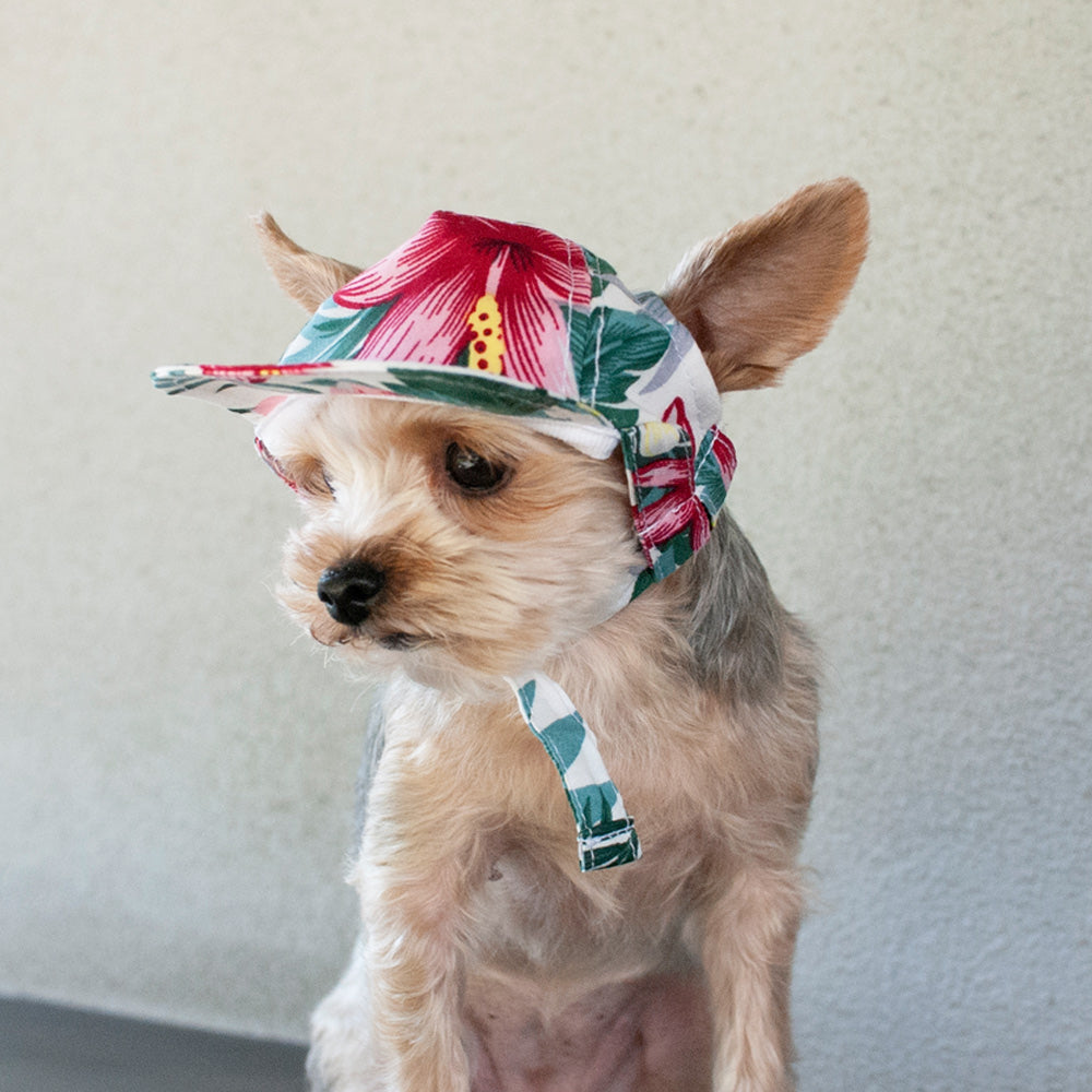 DOGO | Tropical Island Hat Apparel DOGO   
