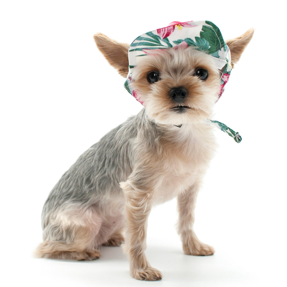DOGO | Tropical Island Hat Apparel DOGO   