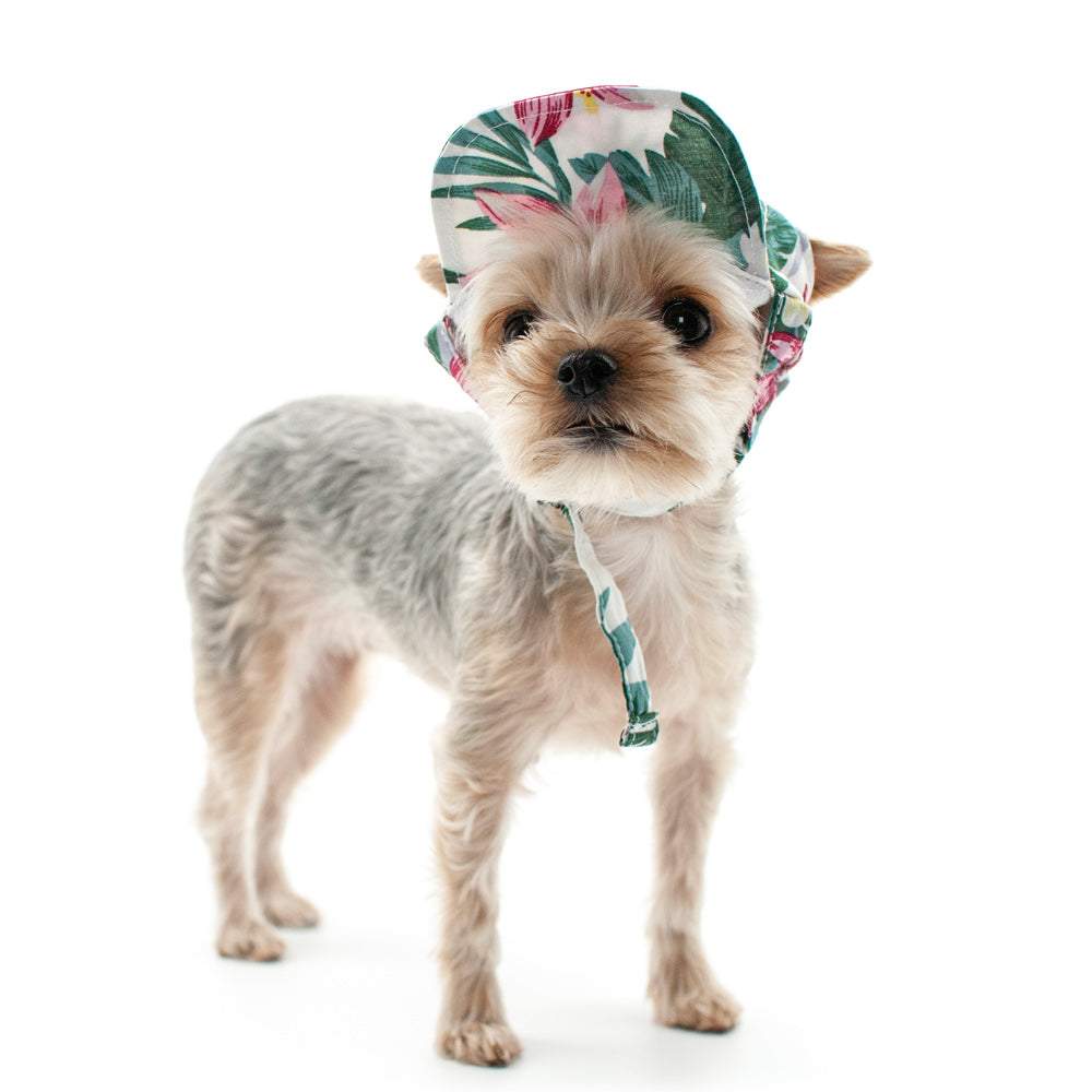 DOGO | Tropical Island Hat Apparel DOGO   